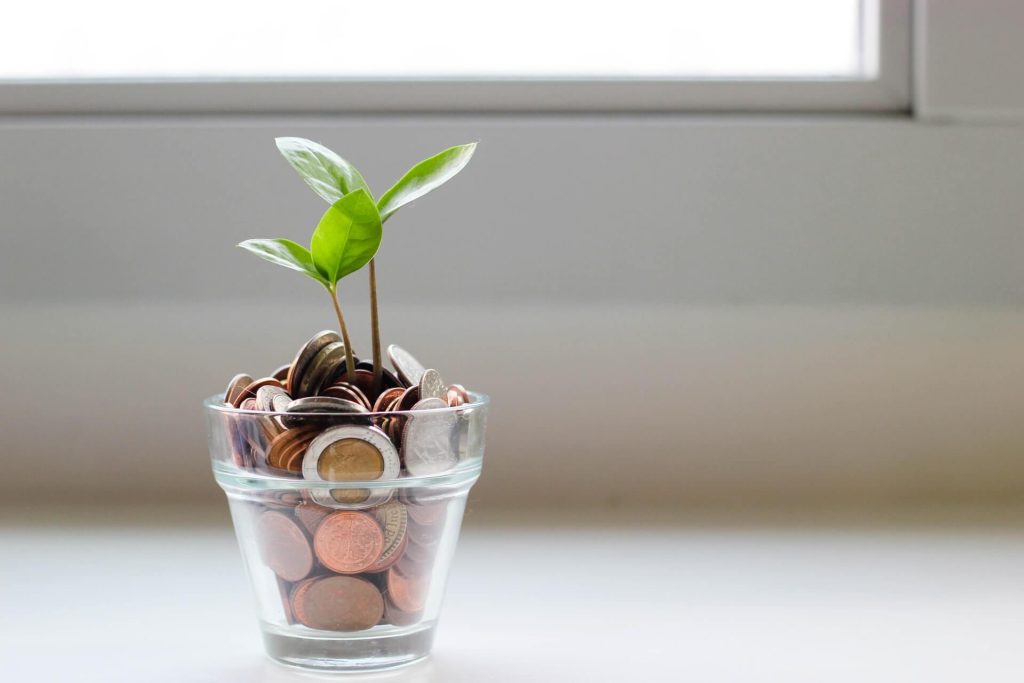a plant with coins in a glass